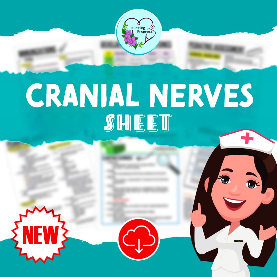 Cranial Nerves Sheet; Colorful Hand Drawn Pictures; For Nursing Students, New Grad RN, NCLEX Prep, Anatomy, Physiology, Health Assessment