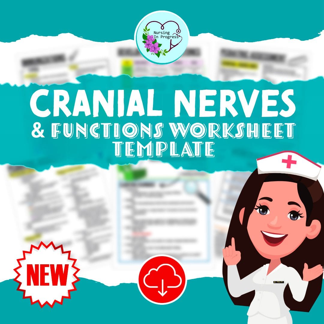Cranial Nerves & Functions Worksheet Template