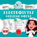 ELECTROLYTES Nursing Notes PDF - Colorful Handwritten Study Notes with Pictures