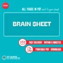 Brain Sheet | 3 Pages | PDF