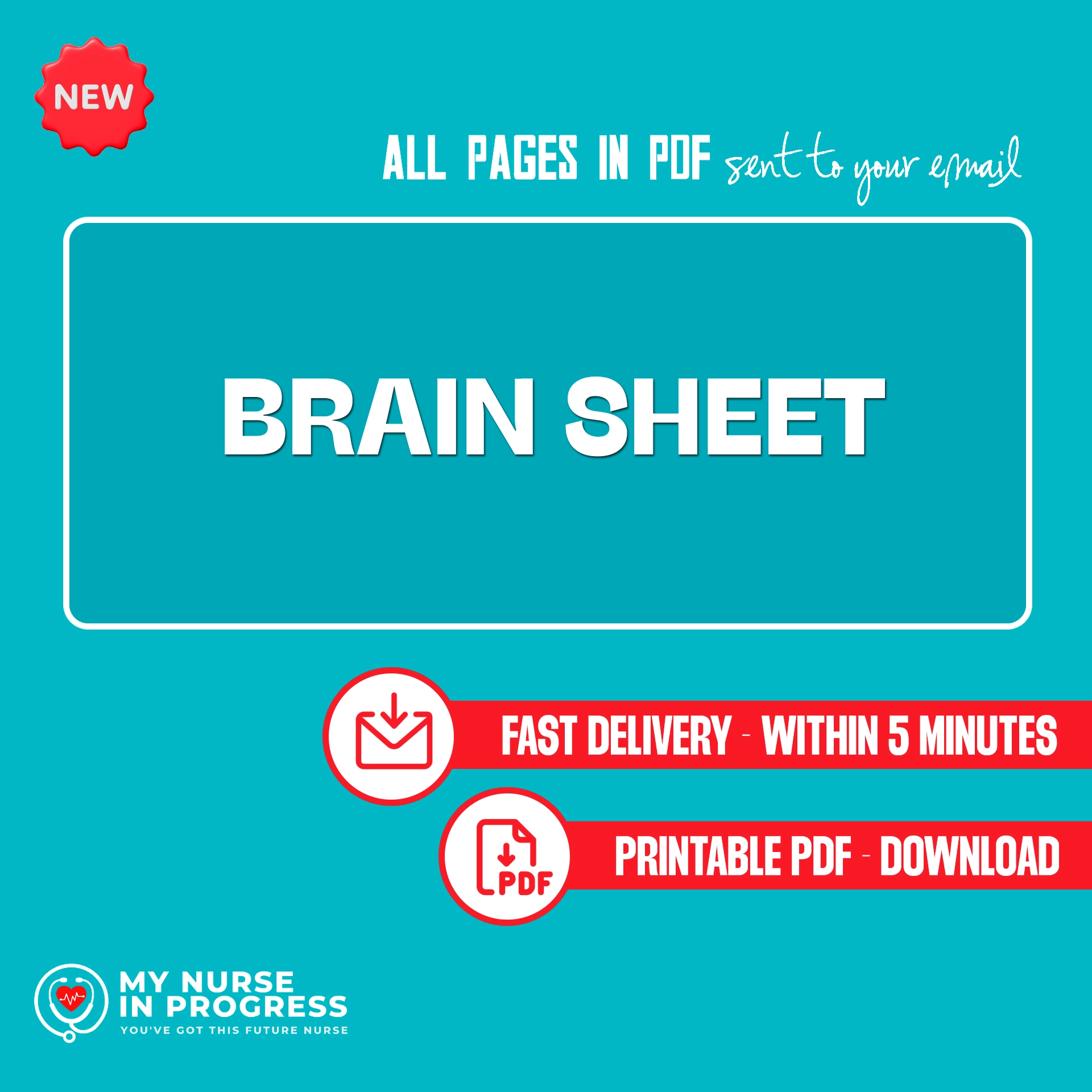 Brain Sheet | 3 Pages | PDF