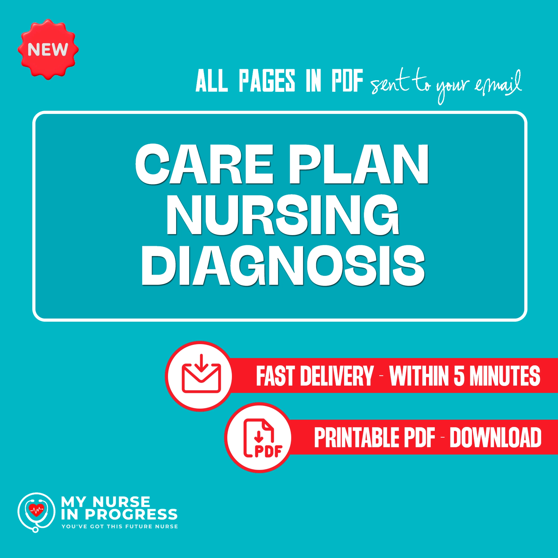 Care Plan Nursing Diagnosis | 2 Pages | PDF