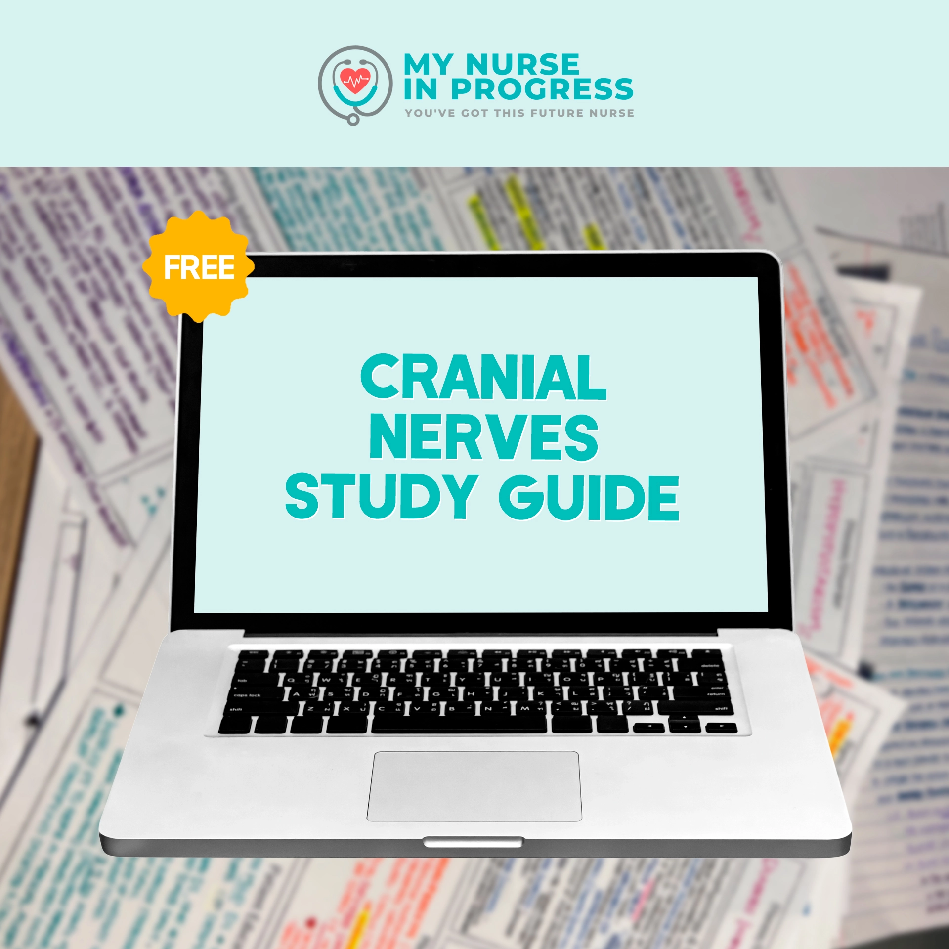Cranial Nerves Study Guide | 6 Pages | PDF